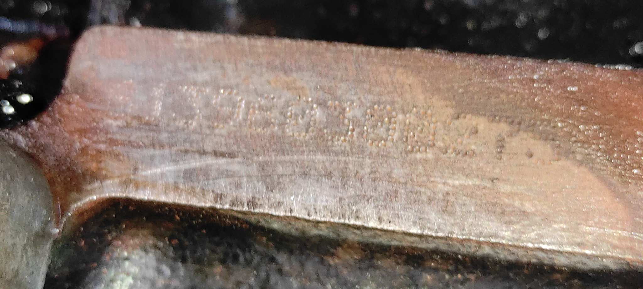 MOTOR MERCEDES-BENZ CLASE S (W220) BERLINA - vista 3