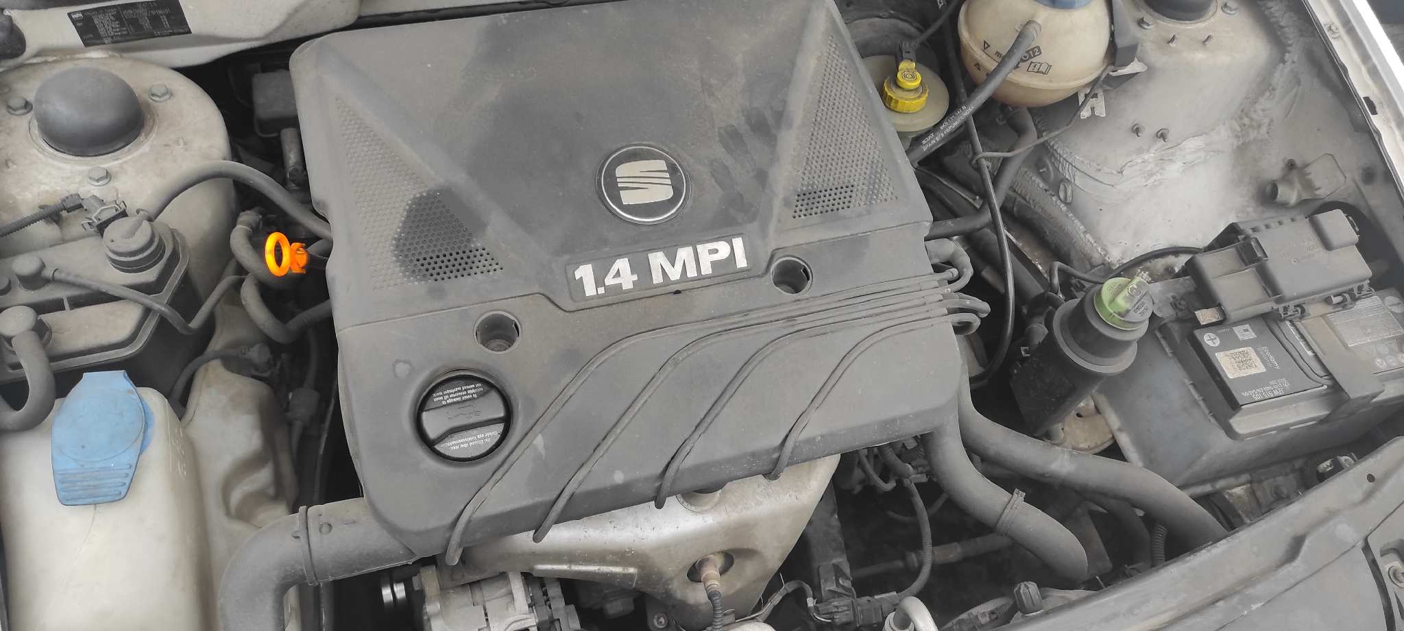 Vista 8
