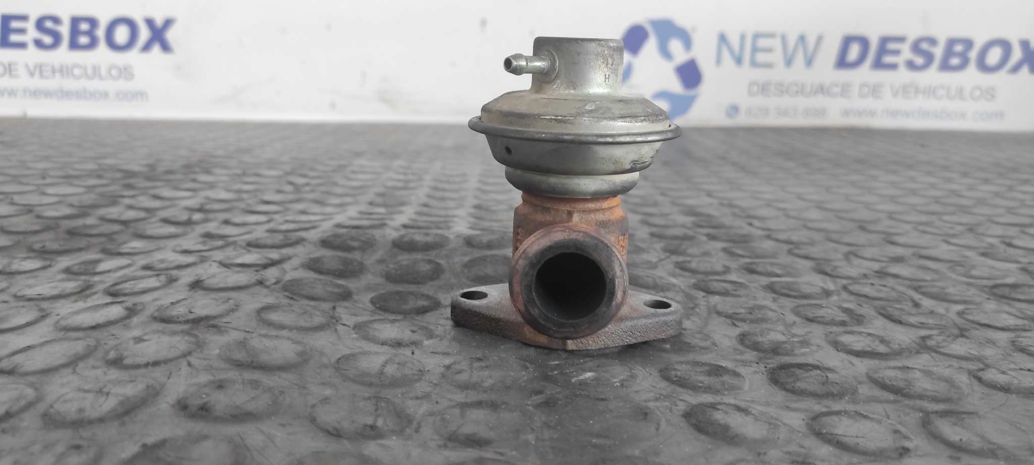 VALVULA EGR RENAULT KANGOO (F/KC0)