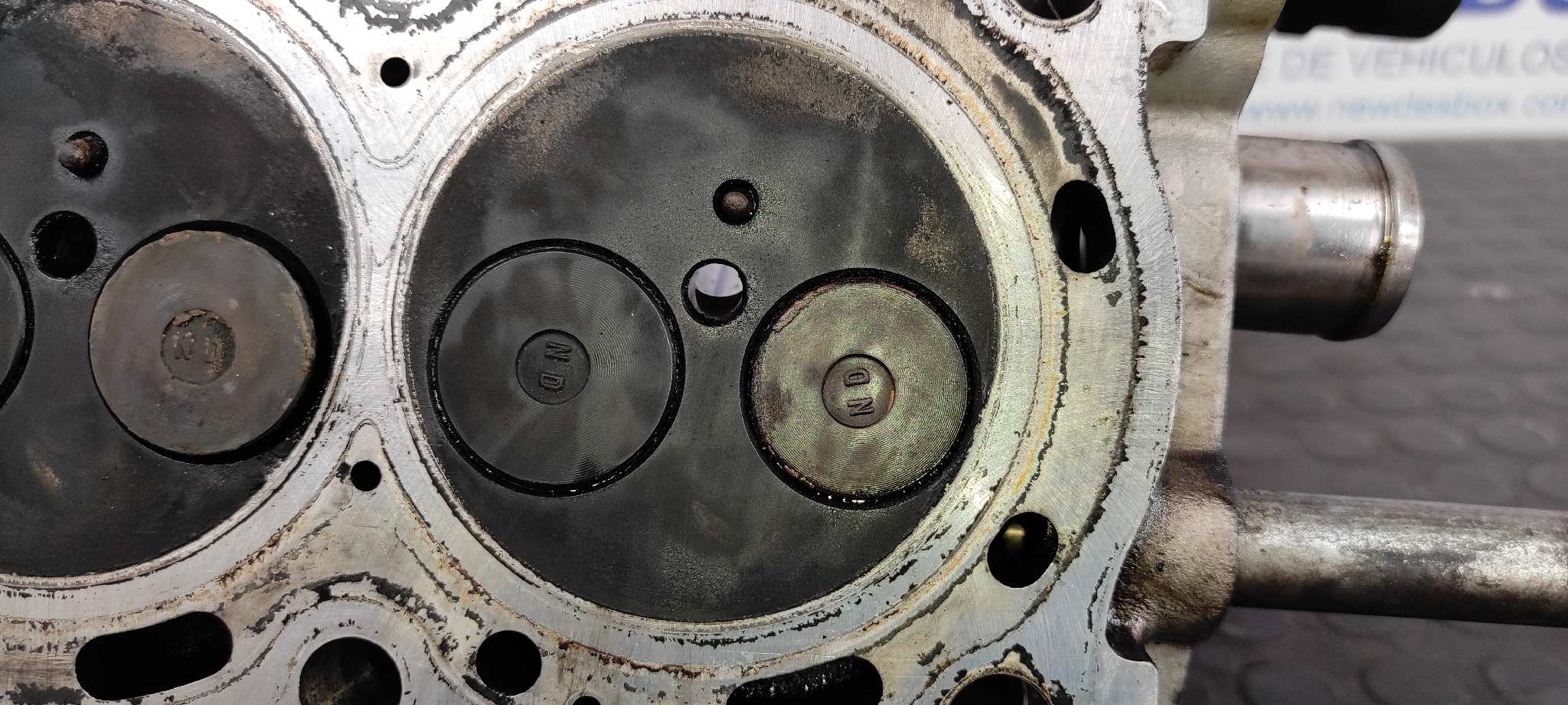 CULATA TOYOTA COROLLA (E12) - vista 13