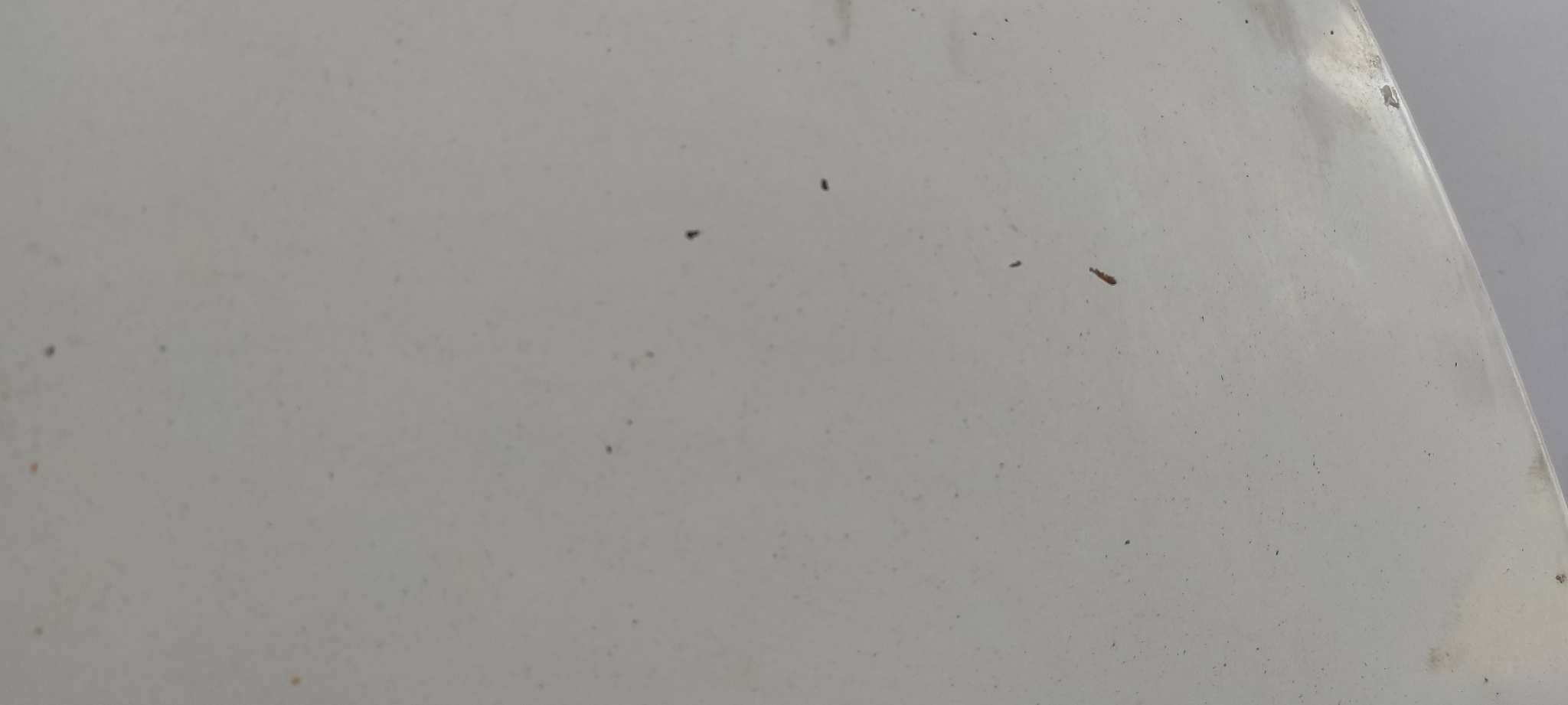 CAPO FORD TRANSIT CAJA CERRADA, CORTA (FY) (2000 =>) - vista 3