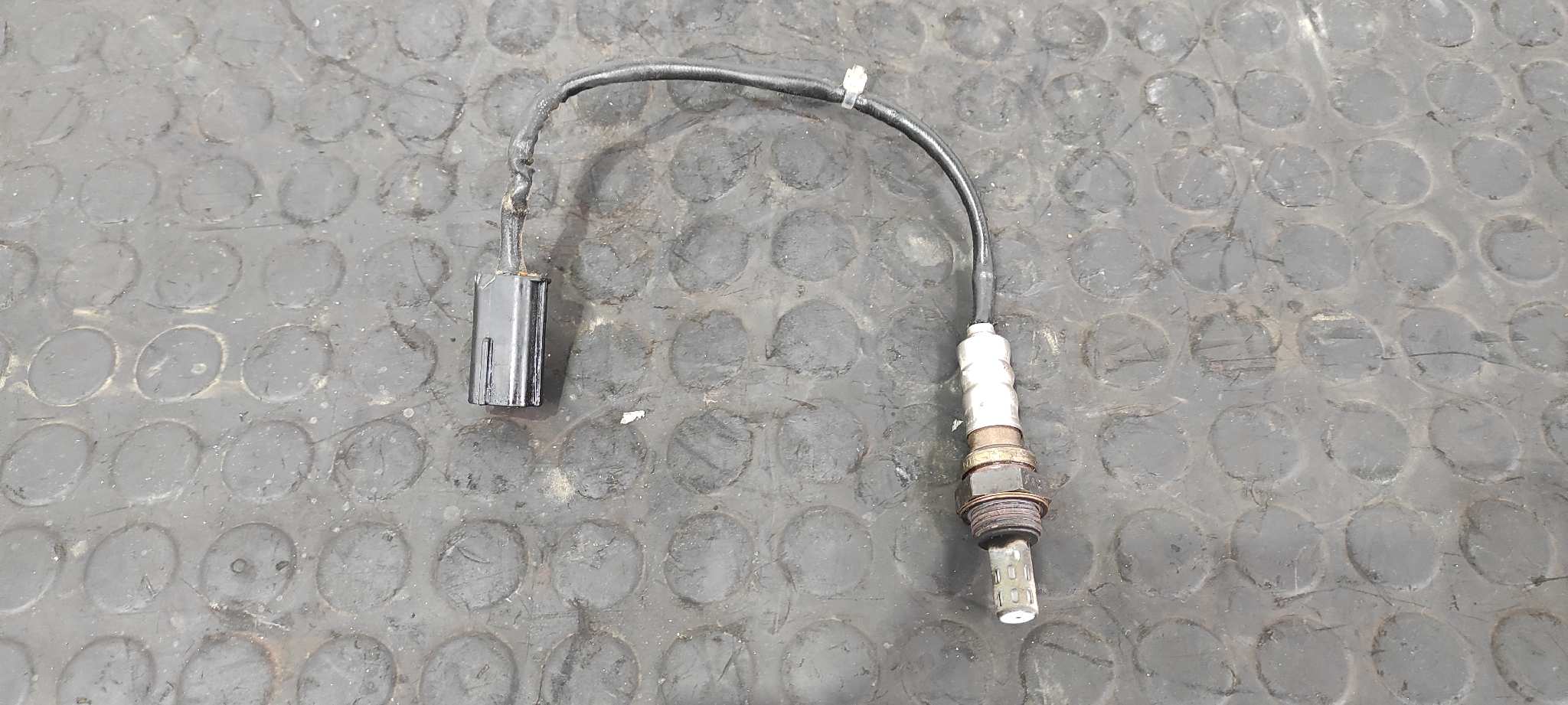 SONDA LAMBDA DUCATI MONSTER 796