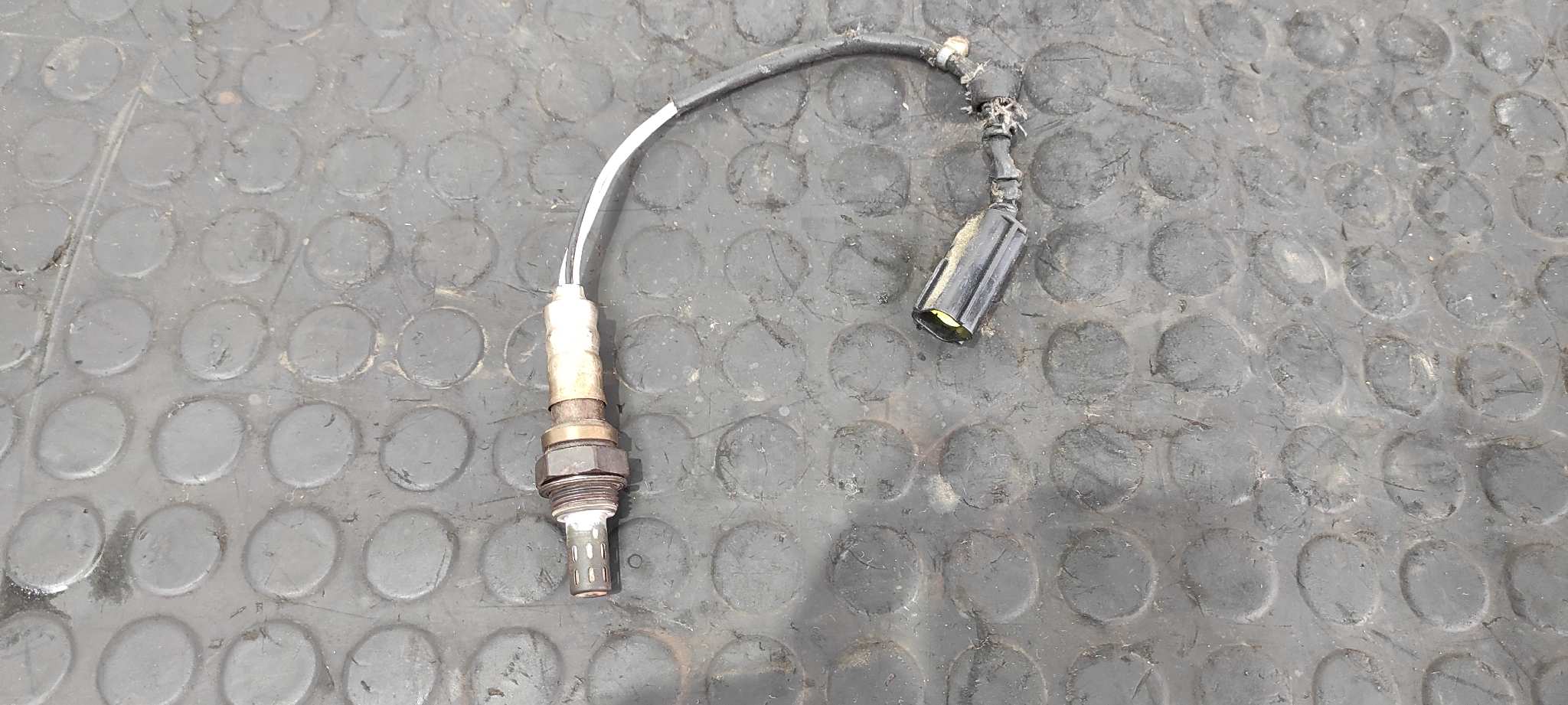 SONDA LAMBDA DUCATI MONSTER 796