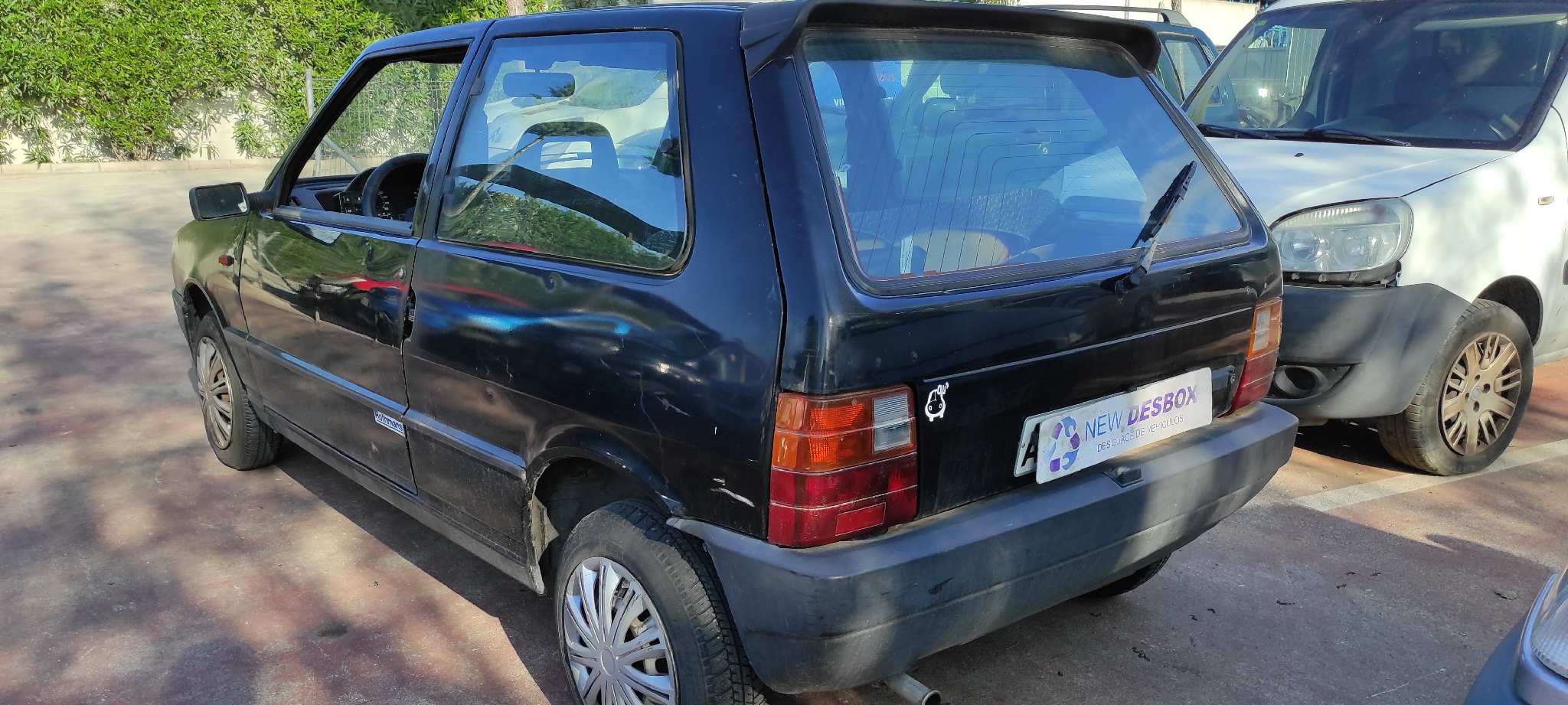 Vista 5