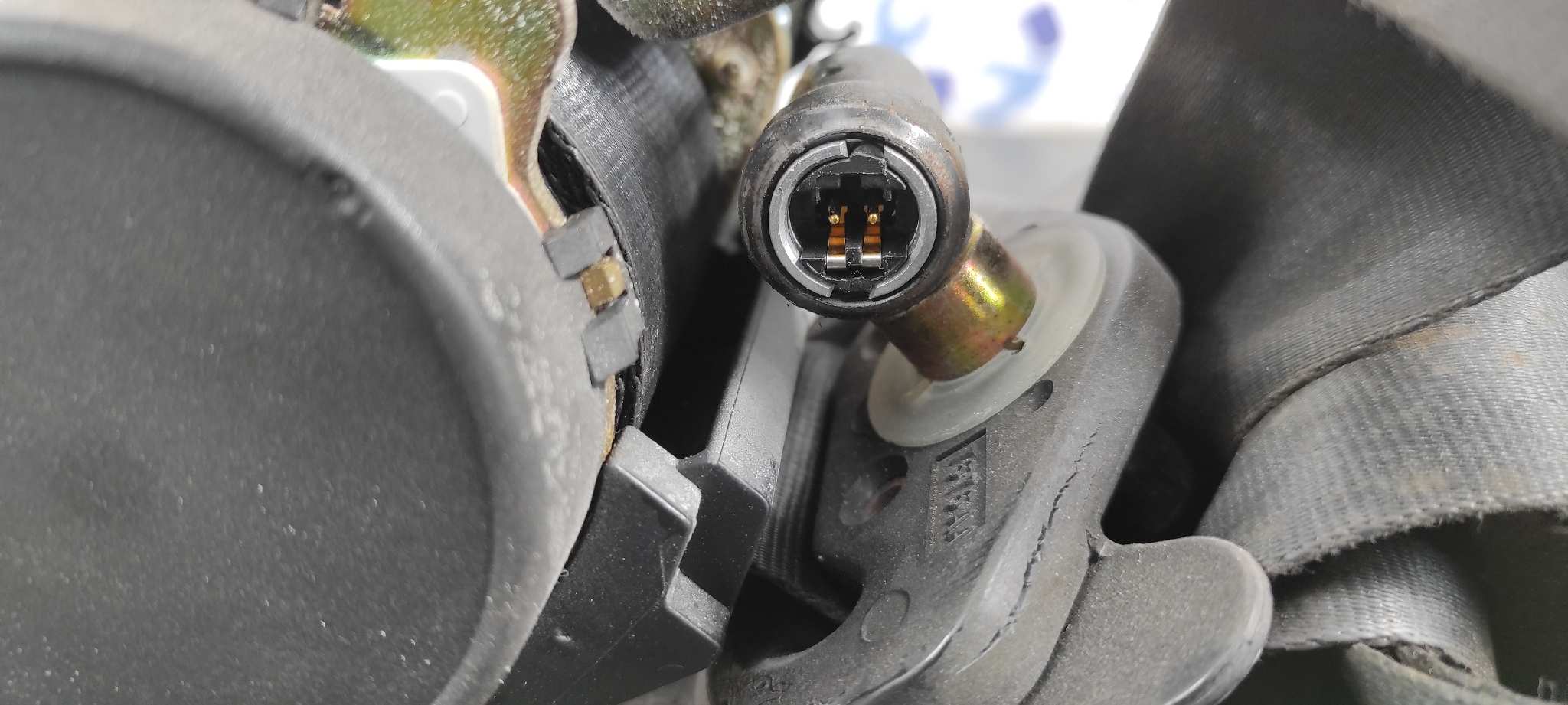 CINTURON TRASERO DERECHO CITROEN C8 - vista 5