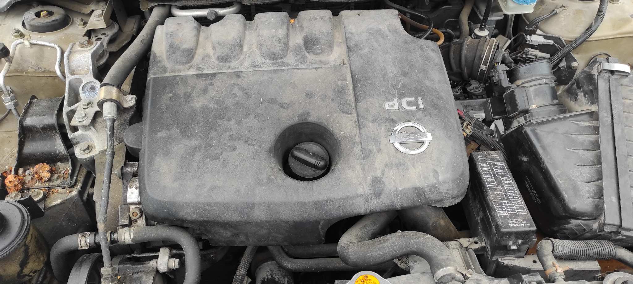Vista 11