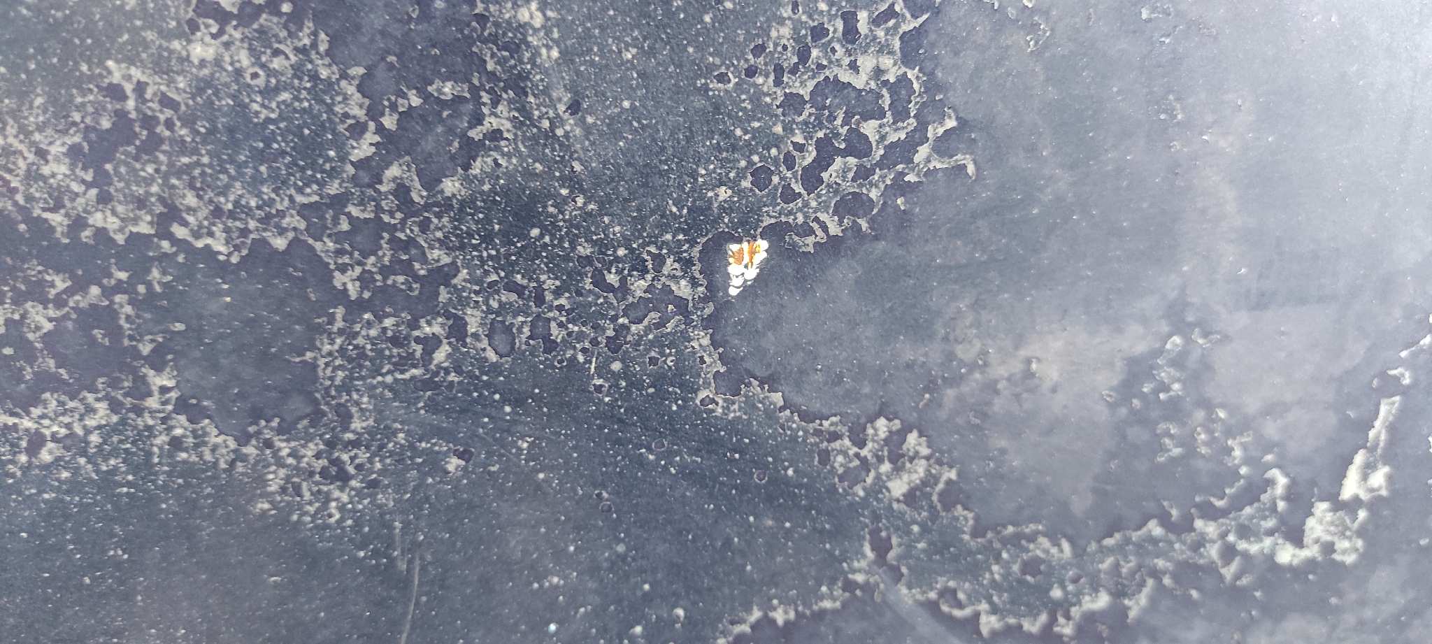 CAPO OPEL CALIBRA 2.0 - vista 3