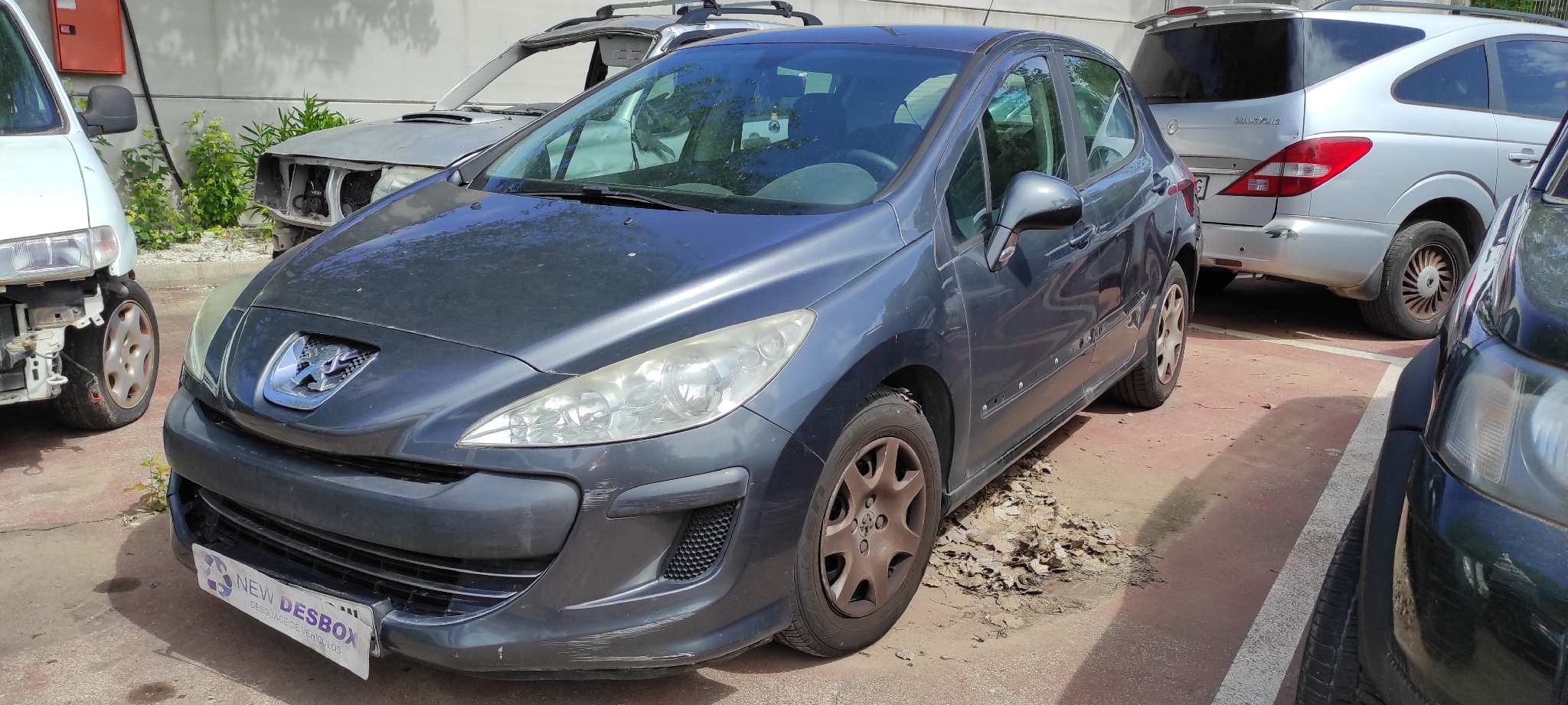 Vista 10