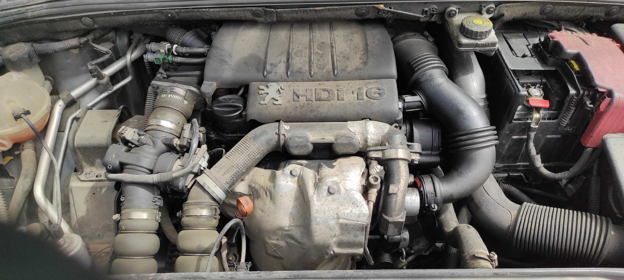 Vista 6