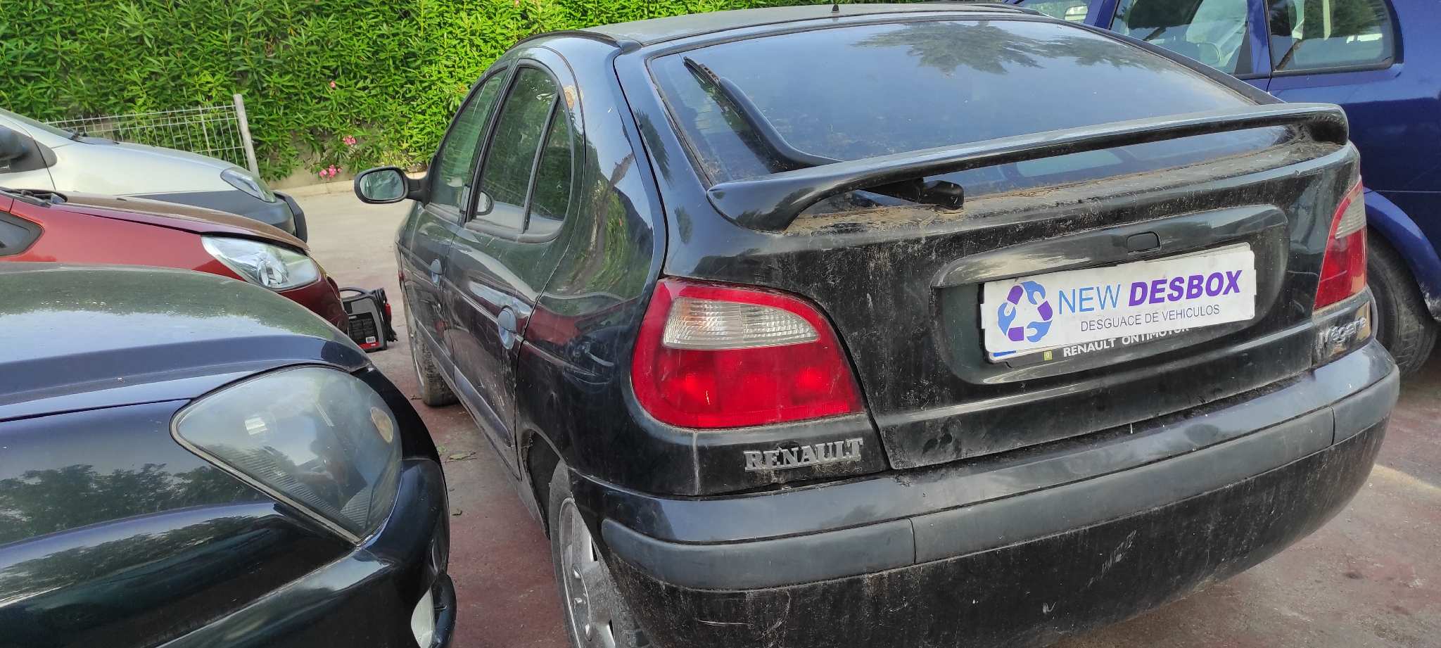 Vista 6