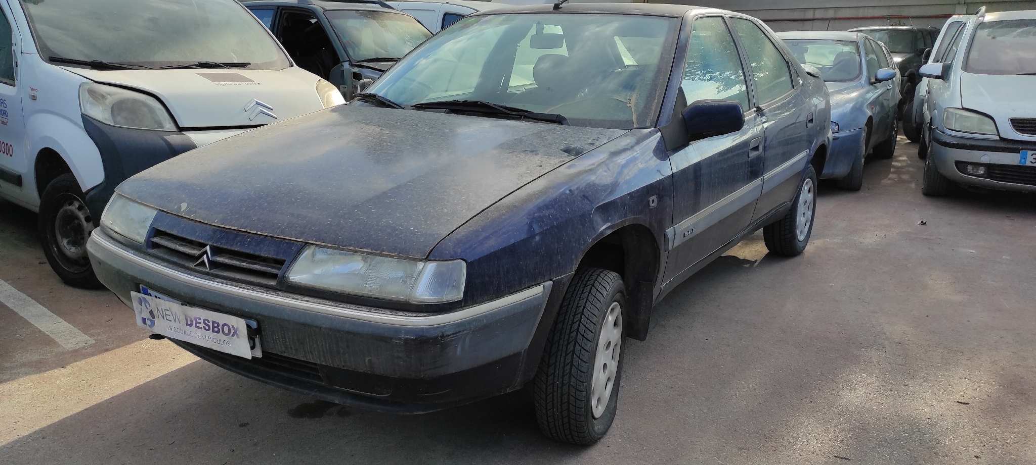 Vista 13