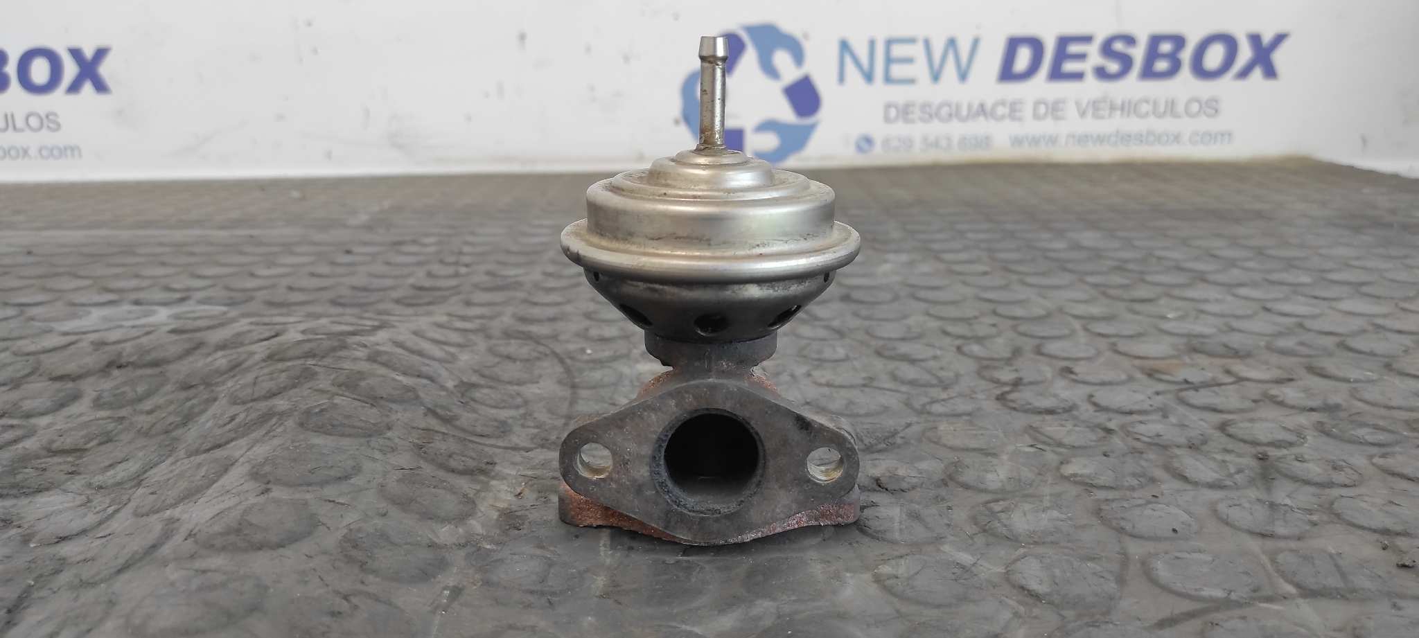 VALVULA EGR VOLKSWAGEN PASSAT BERLINA (3B2)