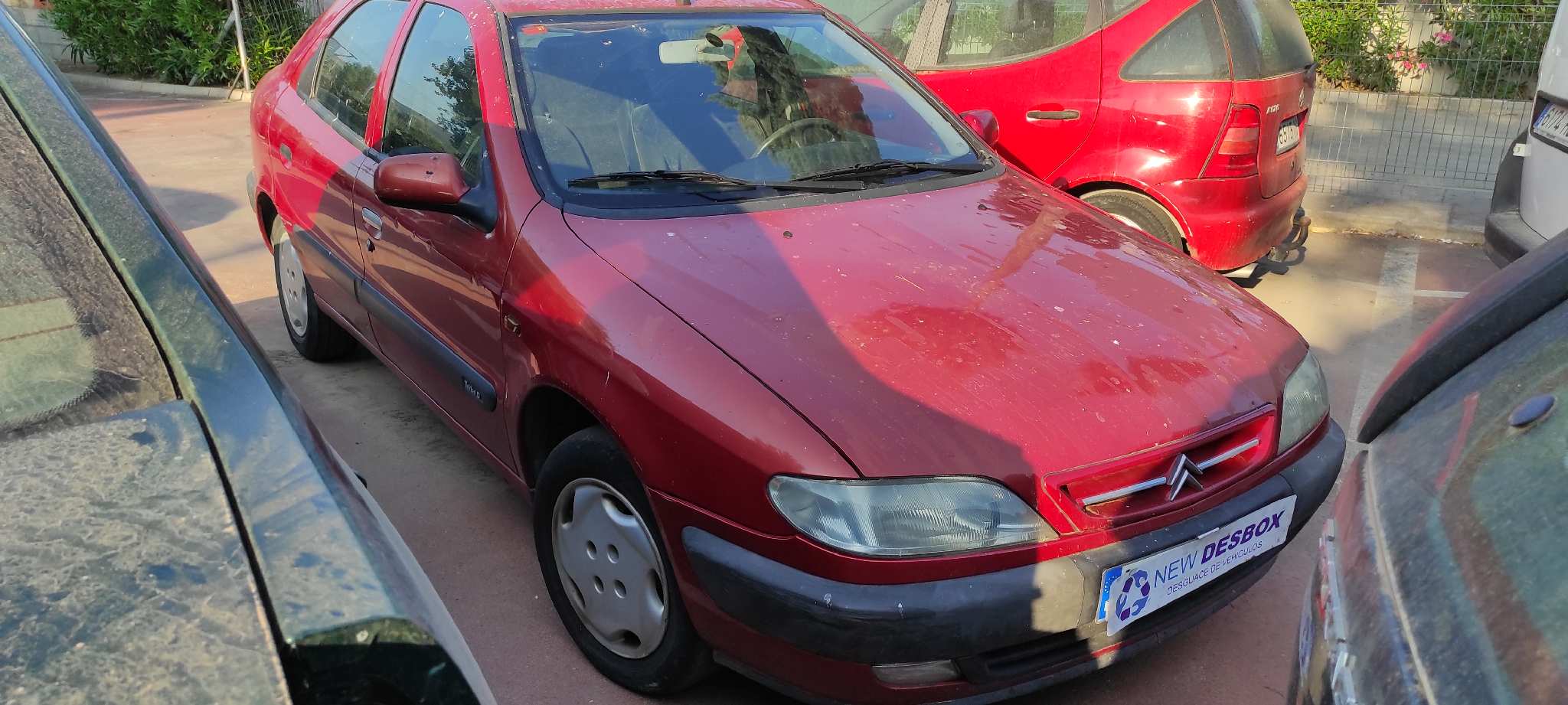 CAJA CAMBIOS CITROEN XSARA BERLINA - vista 7
