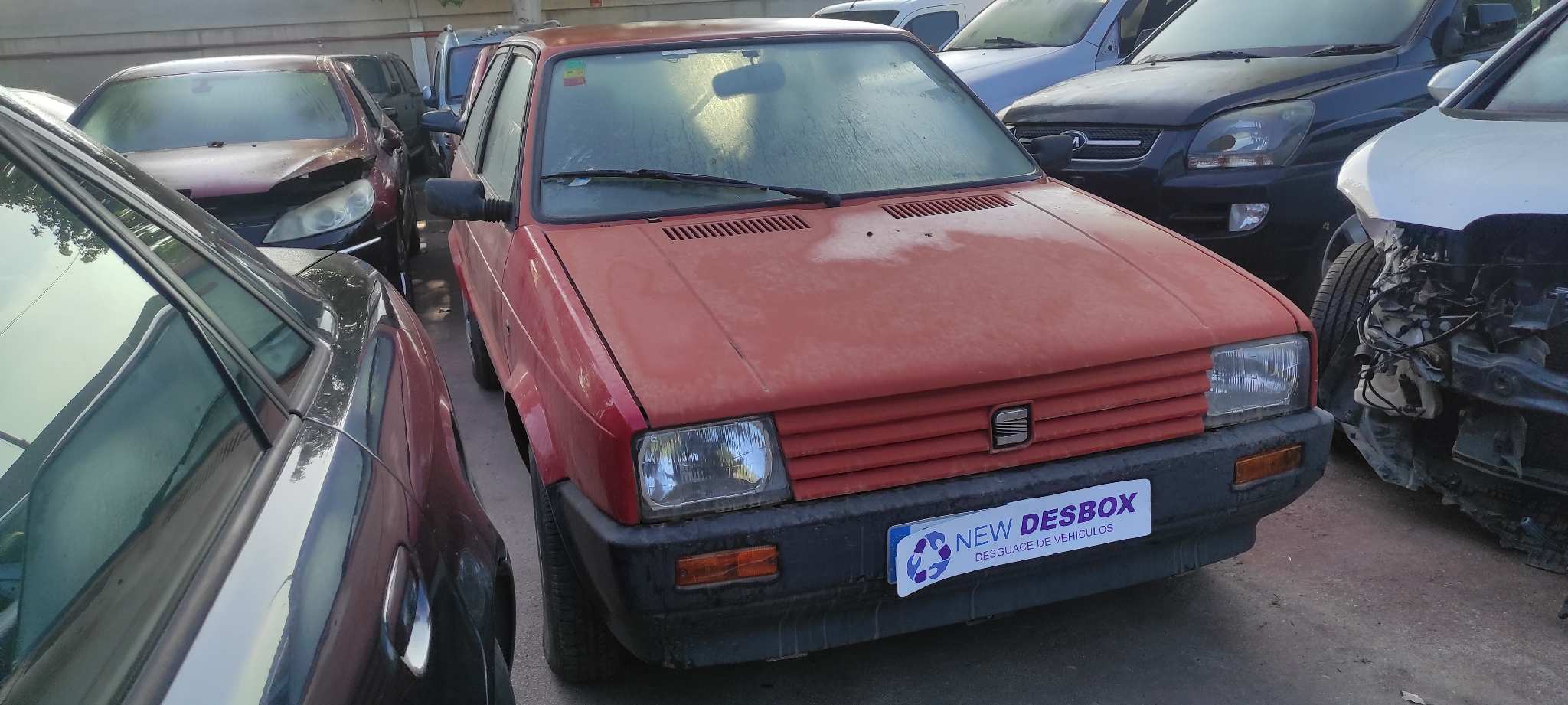 Vista 4