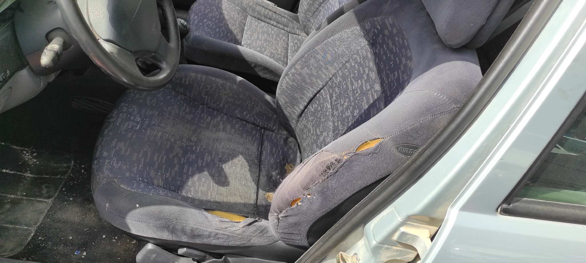Vista 12