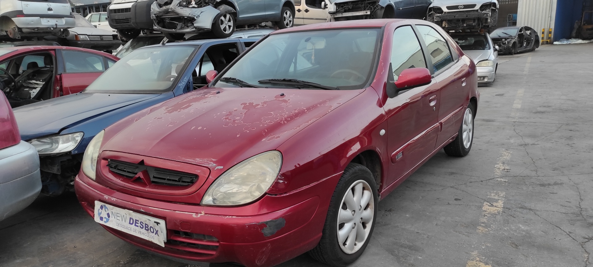 PINZA DE FRENO DELANTERA DERECHA CITROEN XSARA BERLINA - vista 8