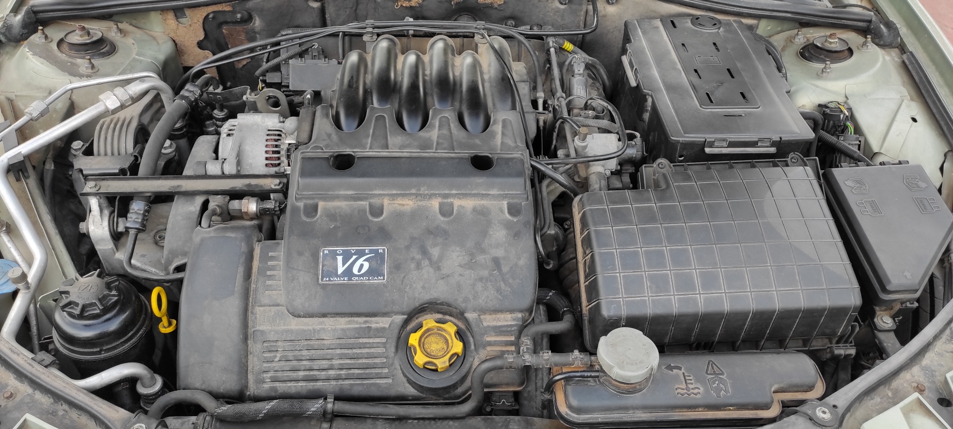 Vista 18