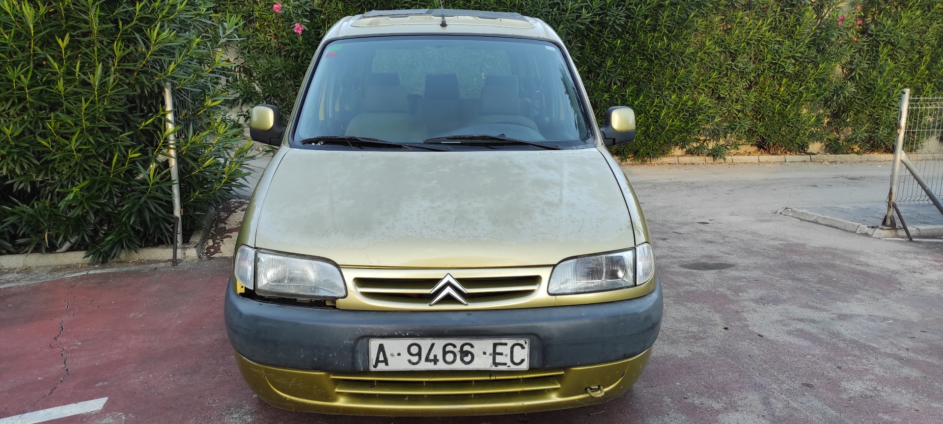 Vista 2