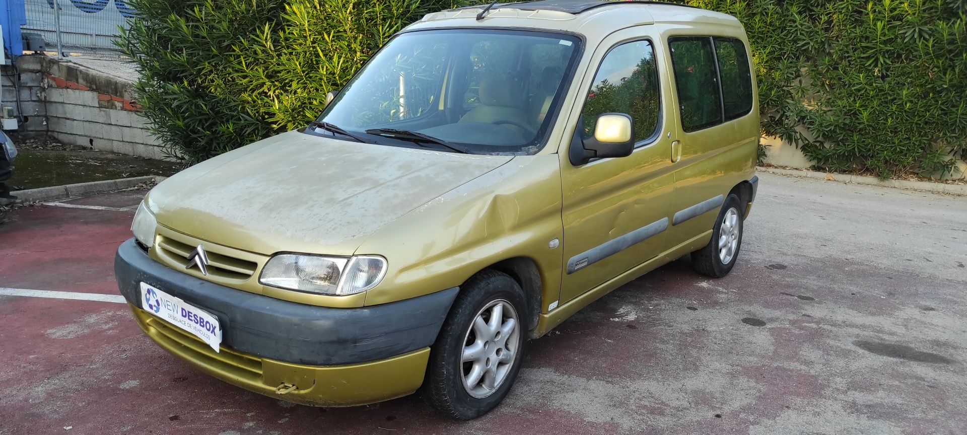 Vista 6