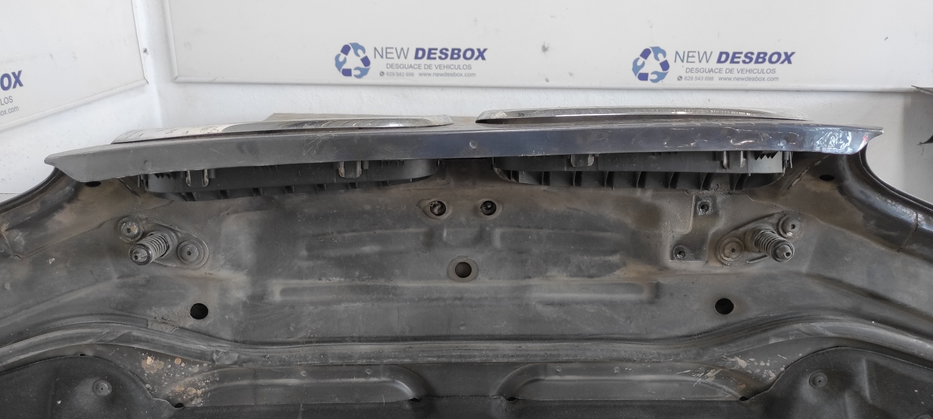 CAPO BMW X5 (E53) - vista 12