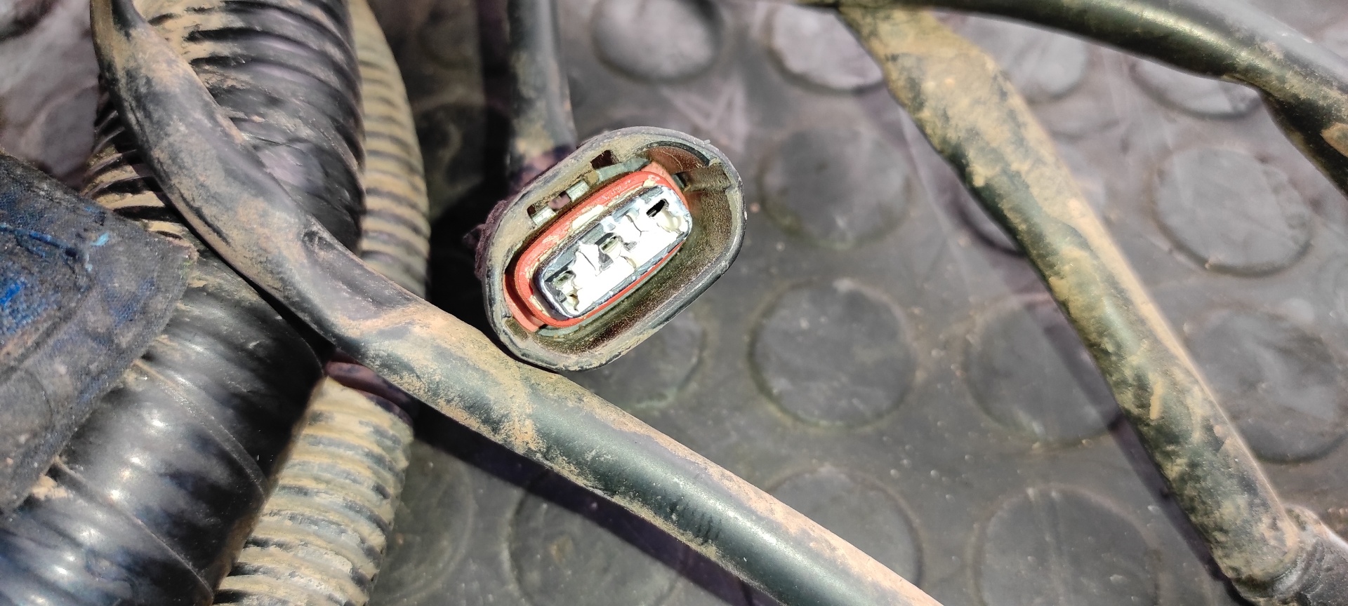 NO IDENTIFICADO LAND ROVER DISCOVERY (LT) - vista 14