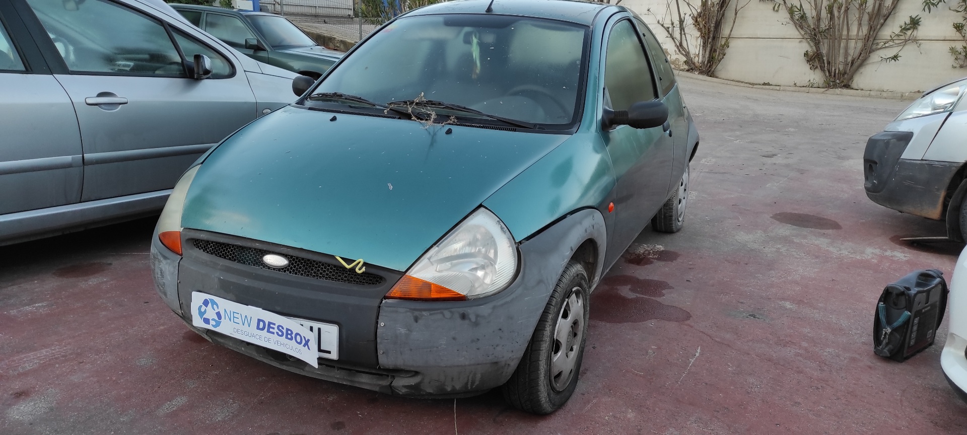 Vista 11