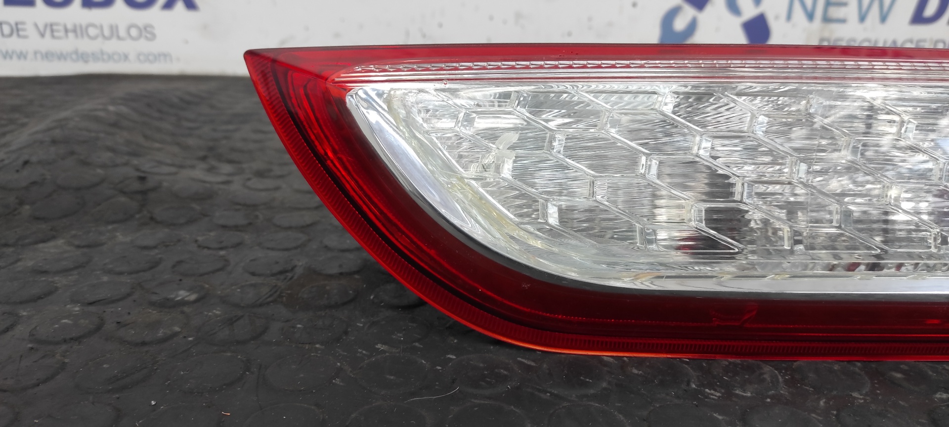 PILOTO TRASERO DERECHO FORD FOCUS LIM. (CB4) - vista 4