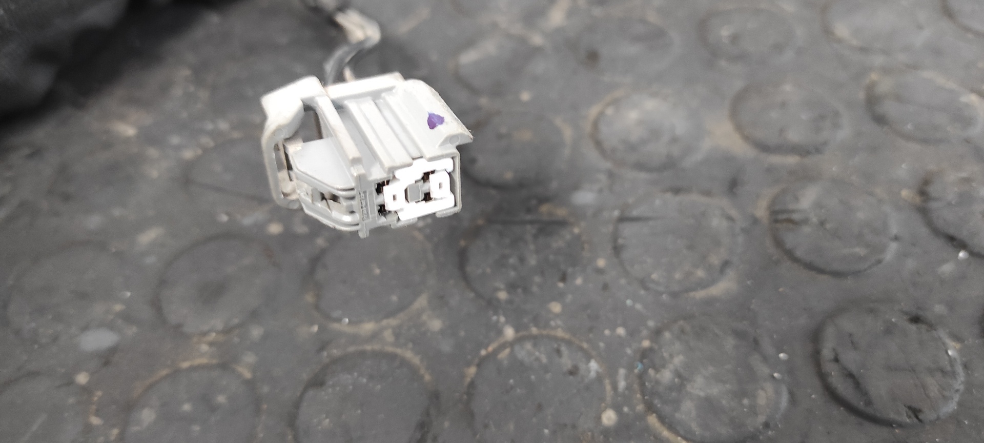 PILOTO TRASERO DERECHO FORD FOCUS LIM. (CB4) - vista 5