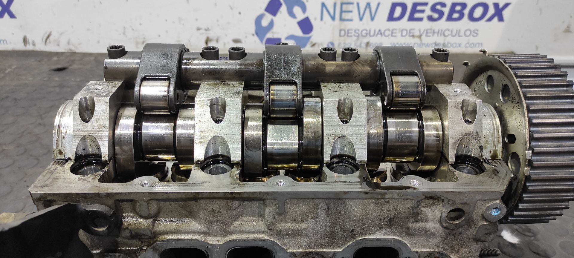 CULATA SEAT IBIZA (6L1) - vista 2