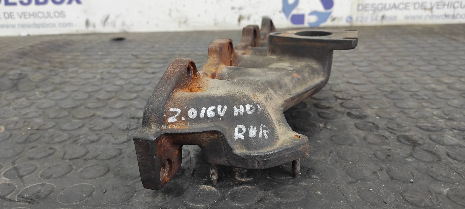 COLECTOR ESCAPE PEUGEOT 407 2.0 16V HDI CAT (RHR / DW10BTED4) - vista 4