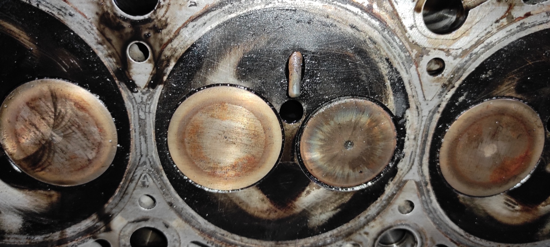 CULATA SEAT LEON (1P1) - vista 13