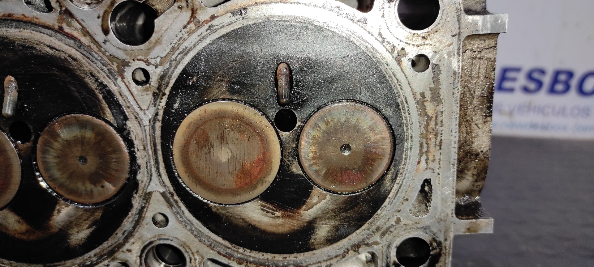 CULATA SEAT LEON (1P1) - vista 11