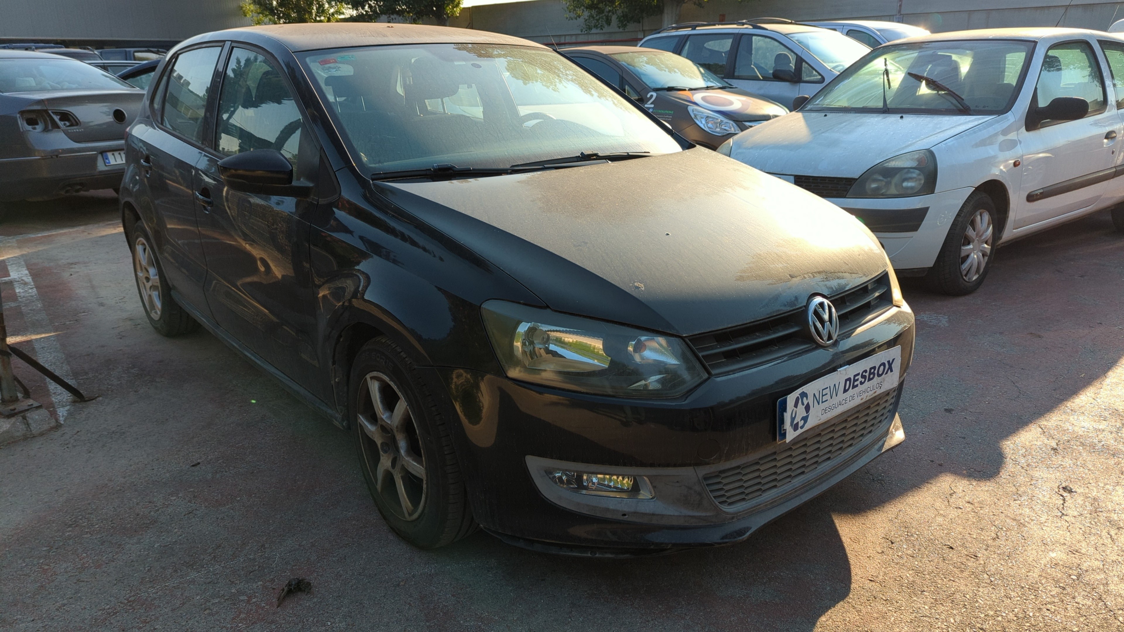 VOLKSWAGEN POLO (6R1)
