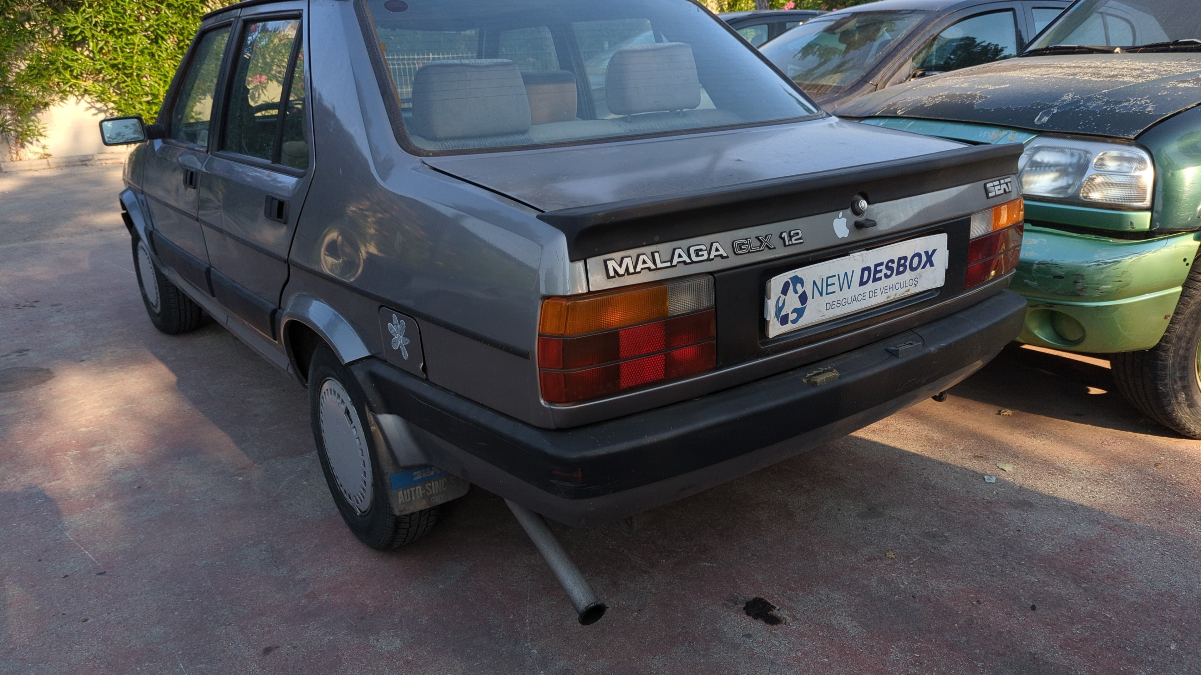 Vista 10