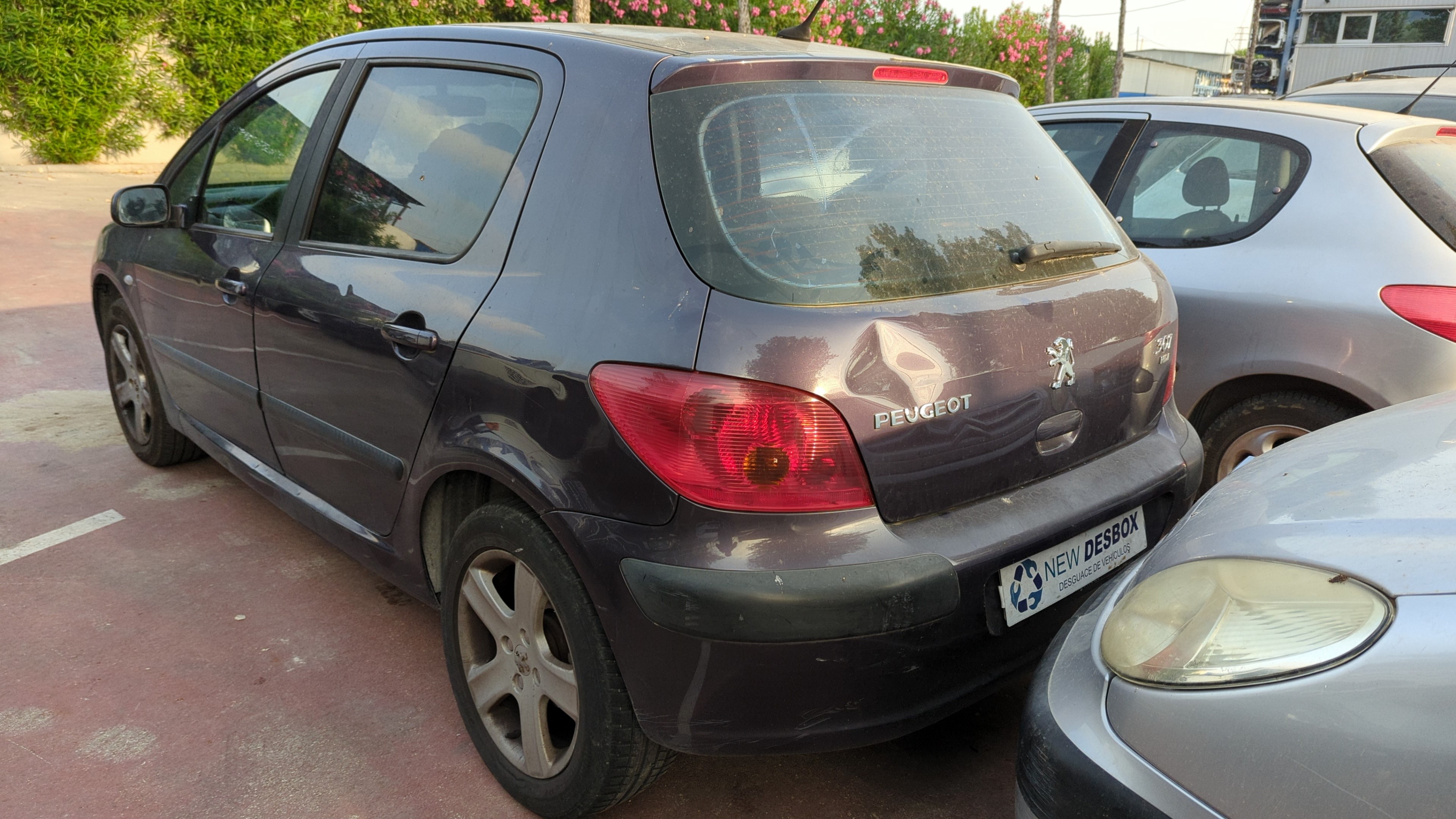 Vista 2
