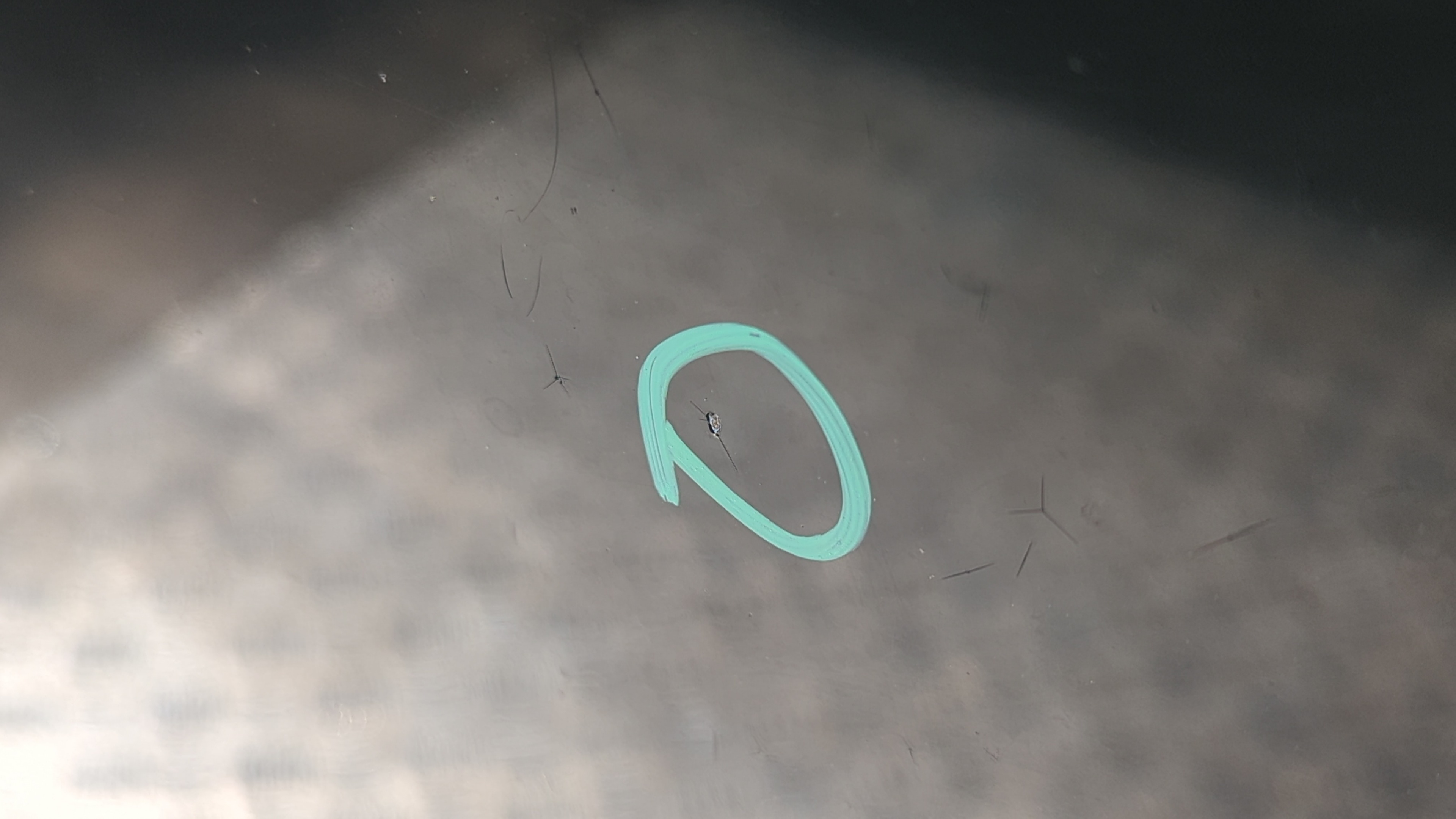 CAPO JAGUAR S-TYPE - vista 8