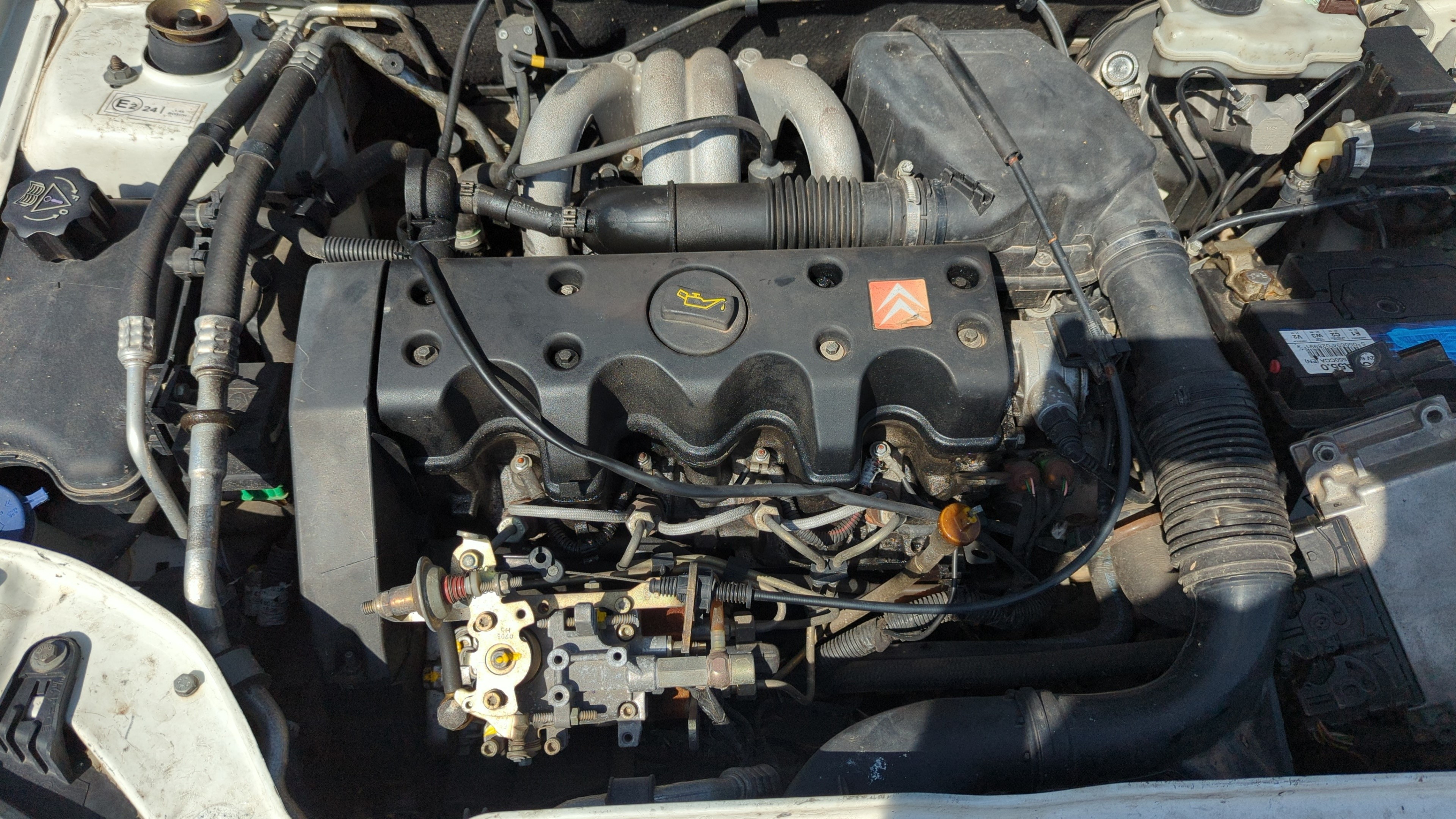 Vista 11