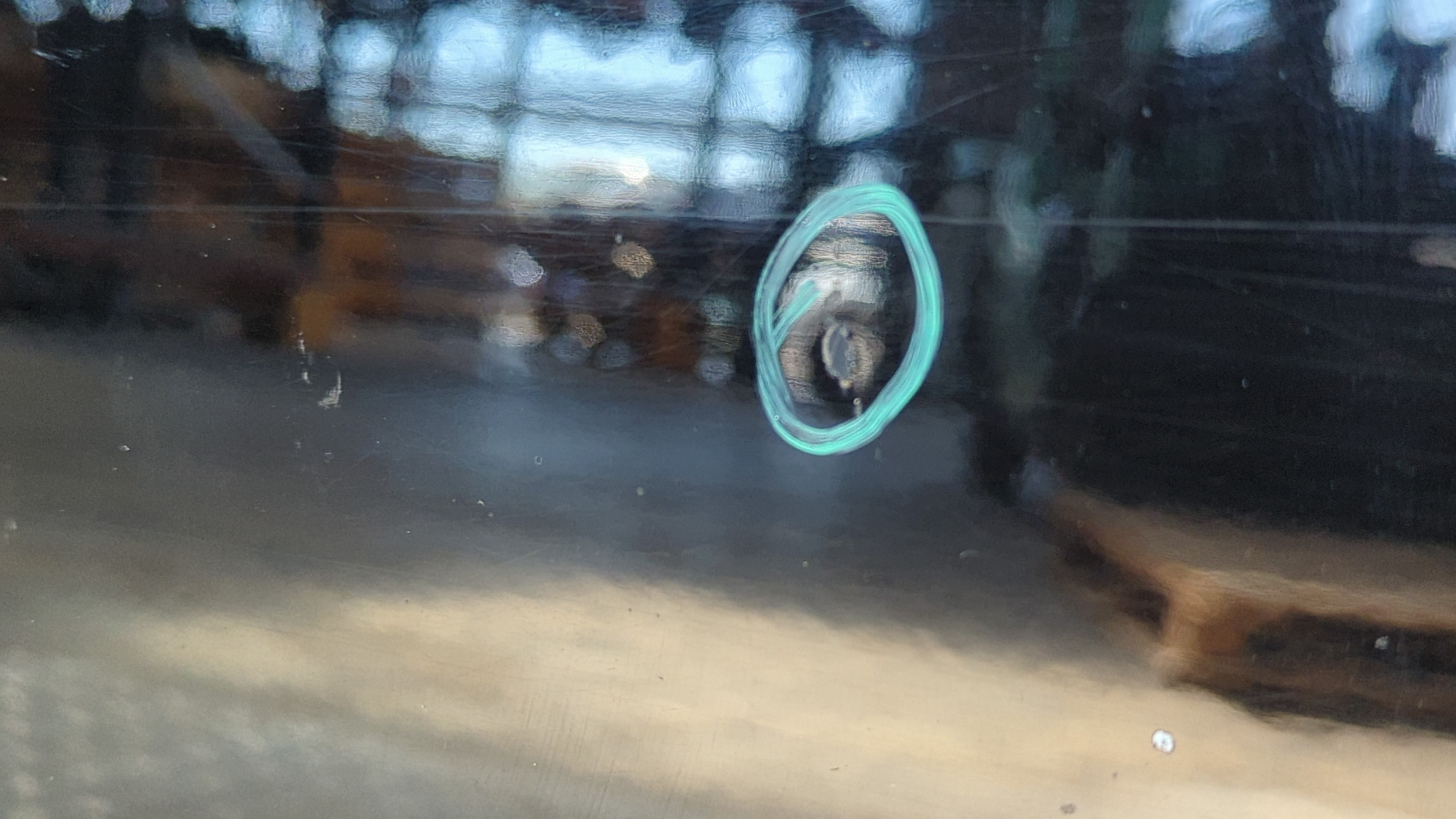 PUERTA TRASERA DERECHA AUDI A3 SPORTBACK (8P) - vista 5