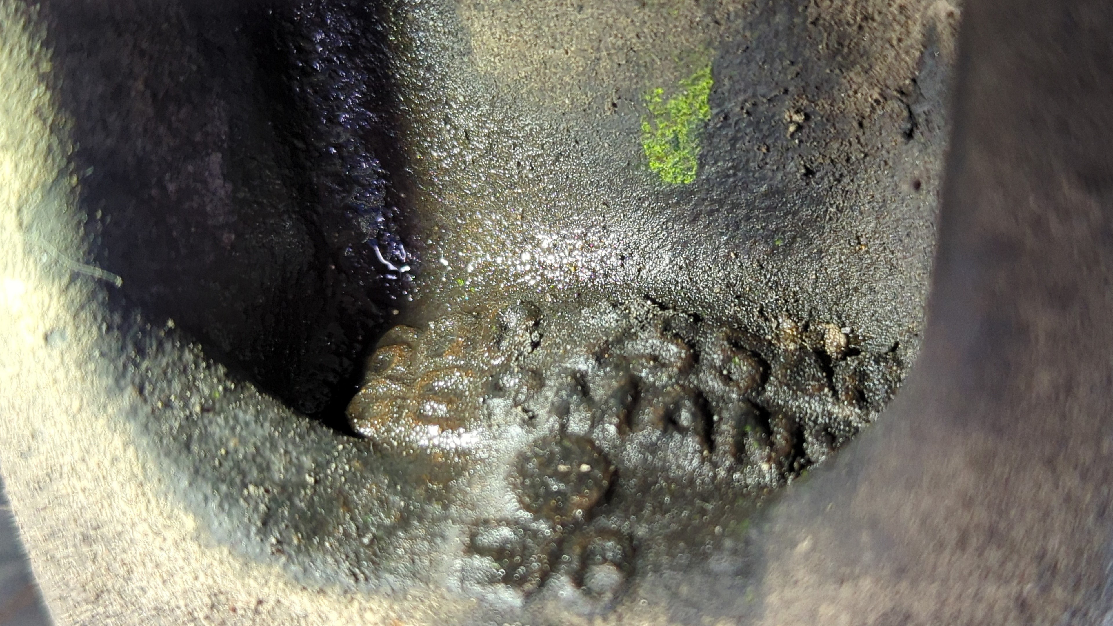 MANGUETA DELANTERA IZQUIERDA SKODA FABIA (6Y2/6Y3) - vista 4