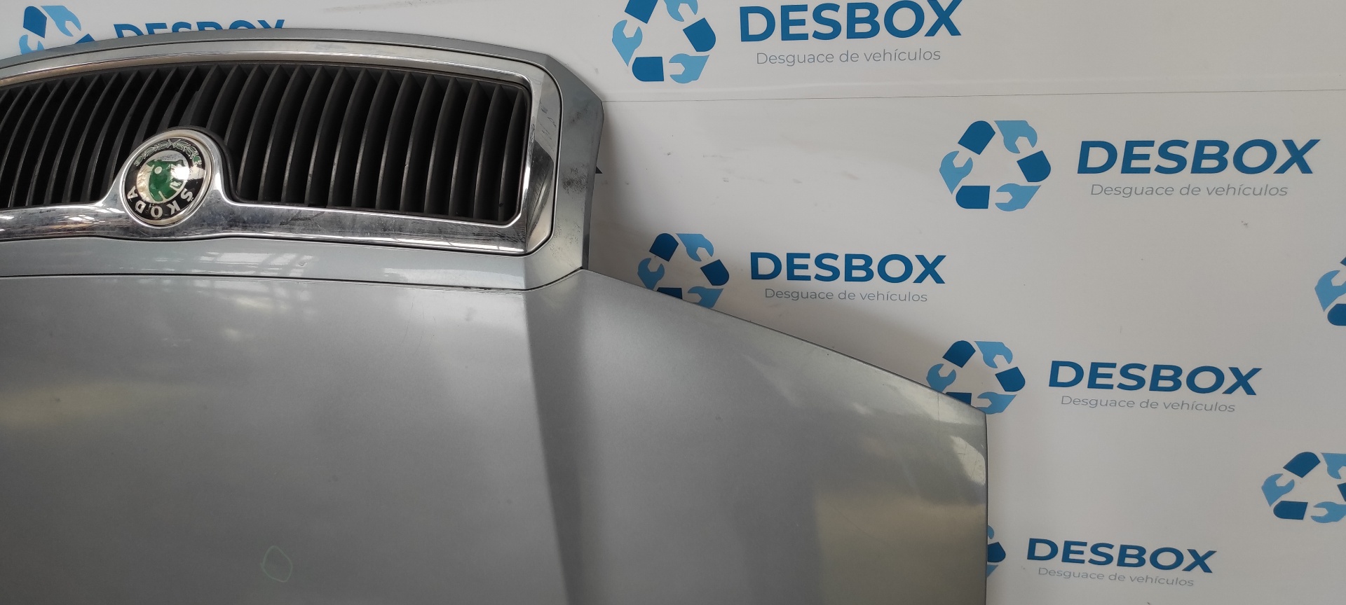 CAPO SKODA FABIA (6Y2/6Y3) - vista 2