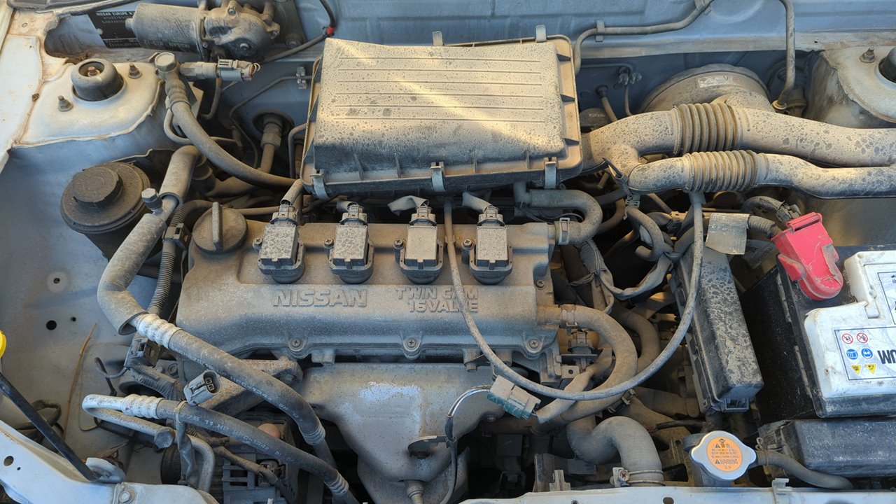 Vista 12