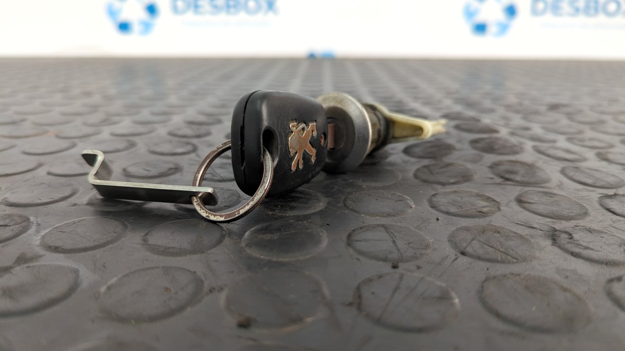 BOMBIN PUERTA DELANTERA IZQUIERDA PEUGEOT 206 BERLINA