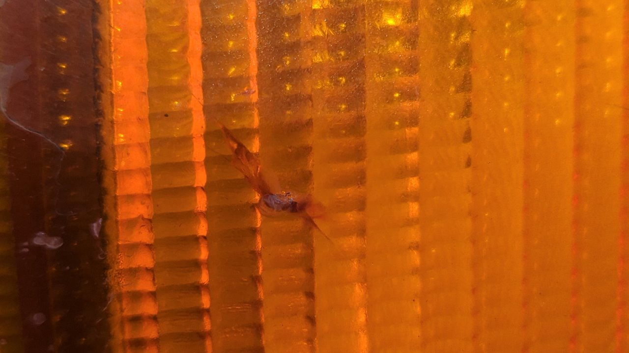 PILOTO DELANTERO IZQUIERDO FORD TRANSIT, CAJA ABIERTA 86/92 - vista 8