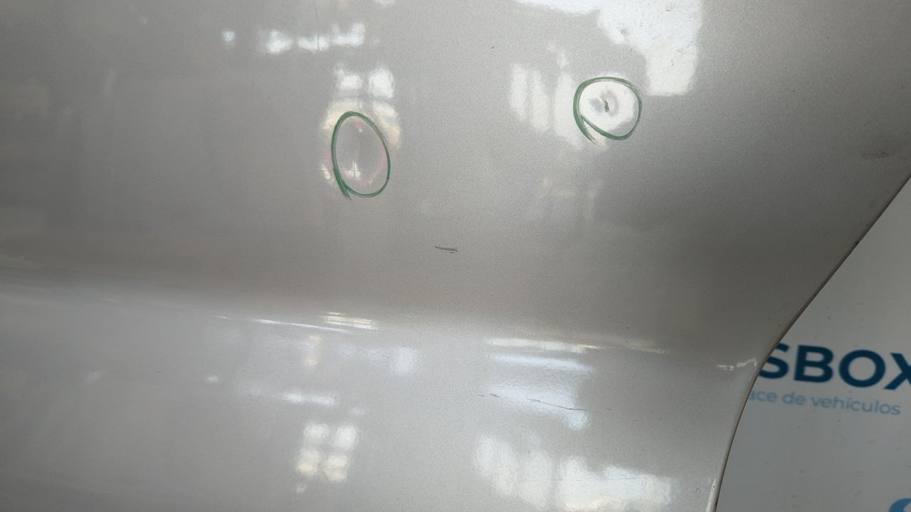 PUERTA DELANTERA IZQUIERDA RENAULT TRAFIC COMBI (AB 4.01) - vista 8