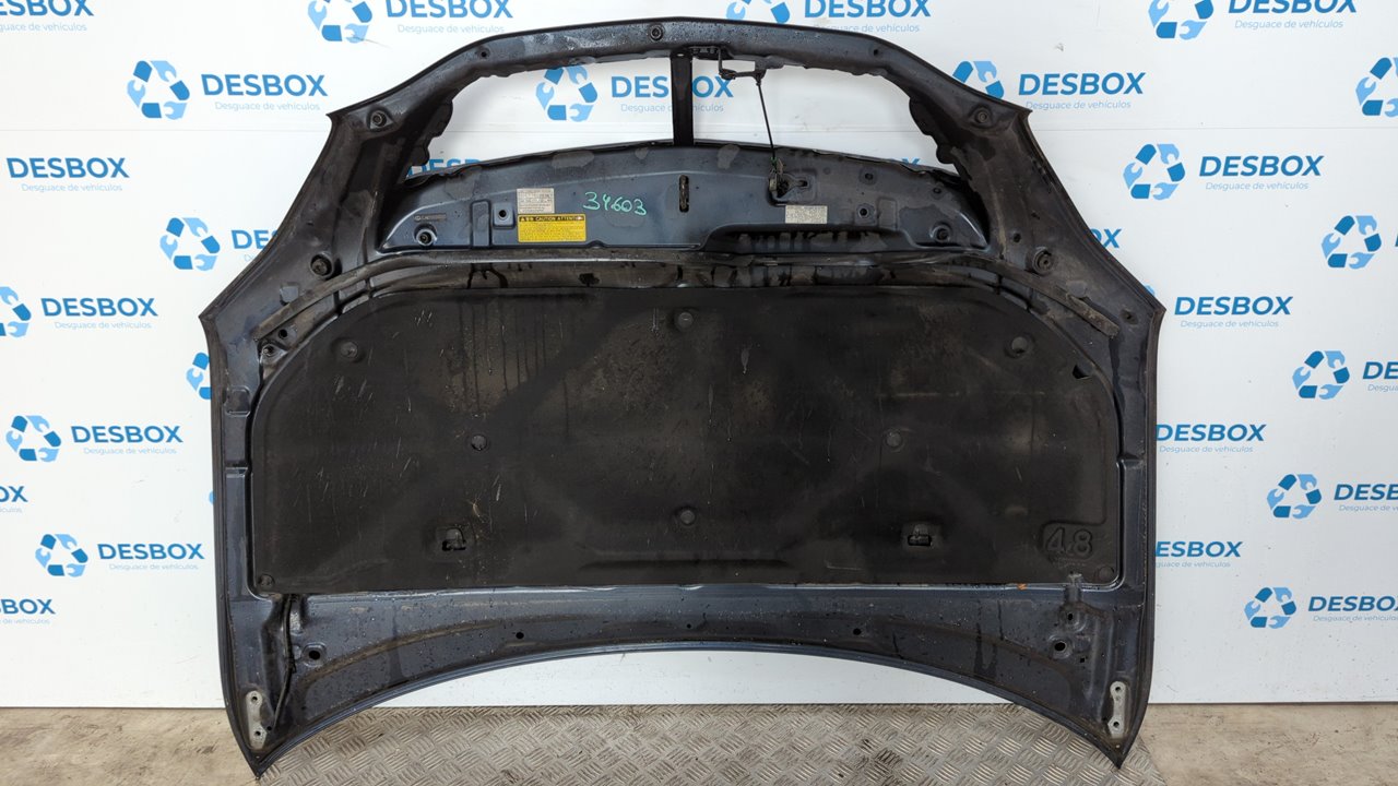 CAPO TOYOTA LEXUS RX - vista 4