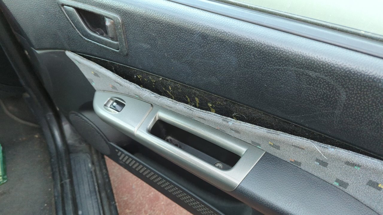 Vista 12