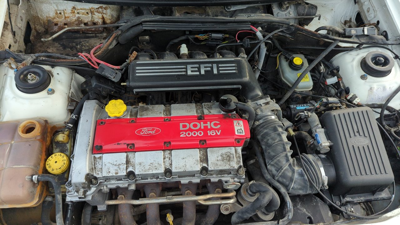 CINTURON DELANTERO DERECHO FORD ESCORT BERLINA/TURNIER - vista 9