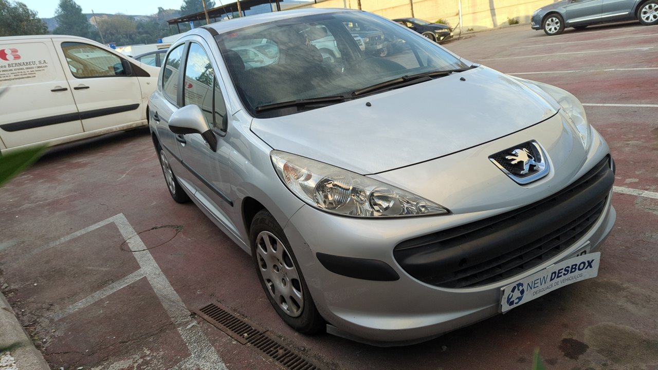 PEUGEOT 207