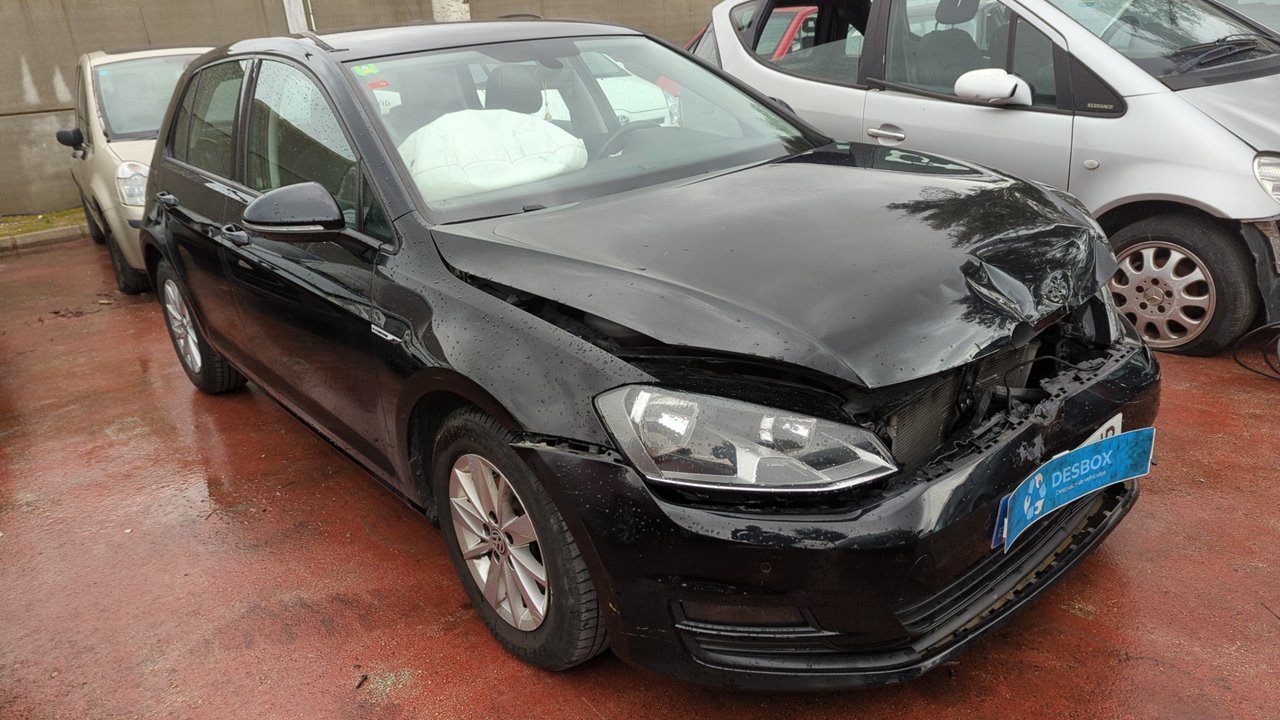 VOLKSWAGEN GOLF VII LIM. (5G1)