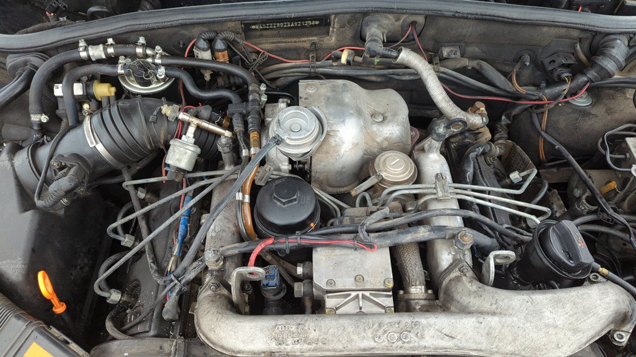 Vista 12